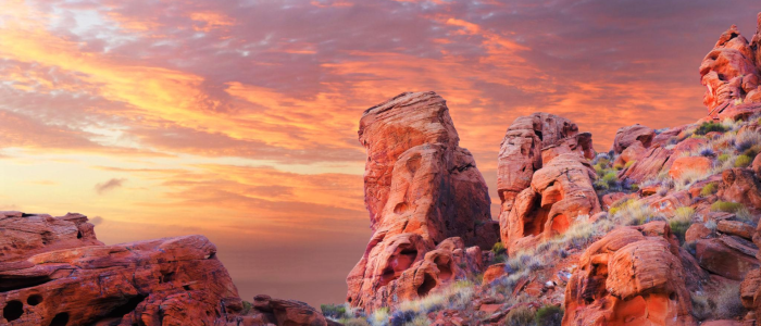 Nevada Landscape