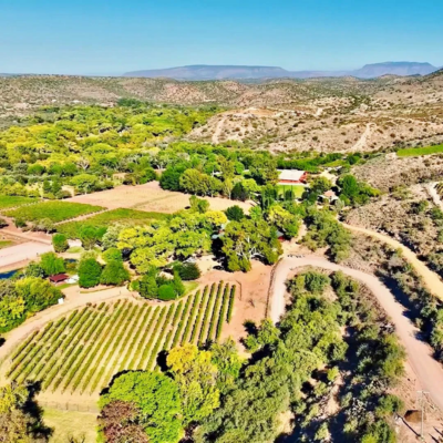Verde Valley Wine