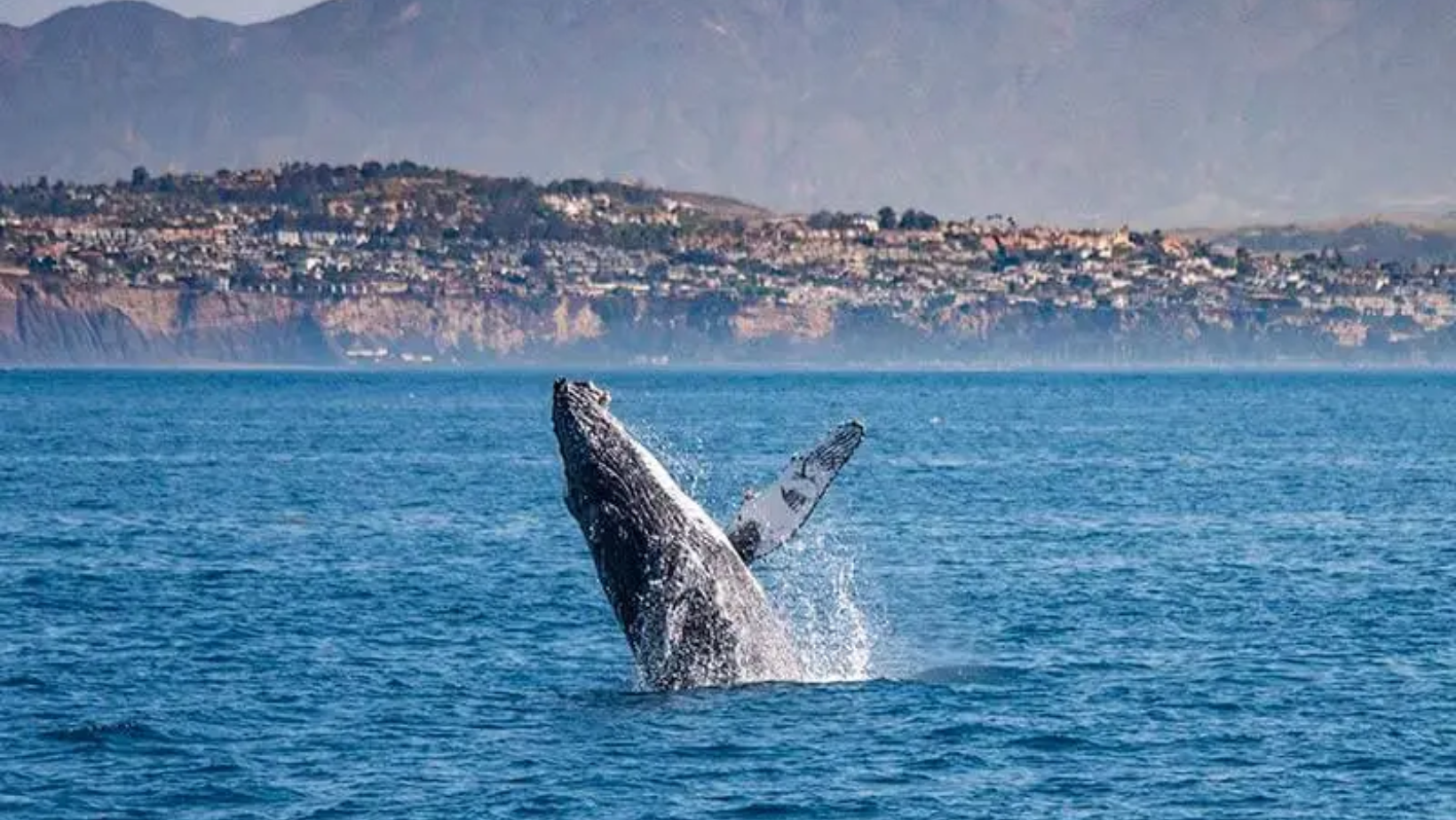 Best Southern California Excursions & Tours (2026)