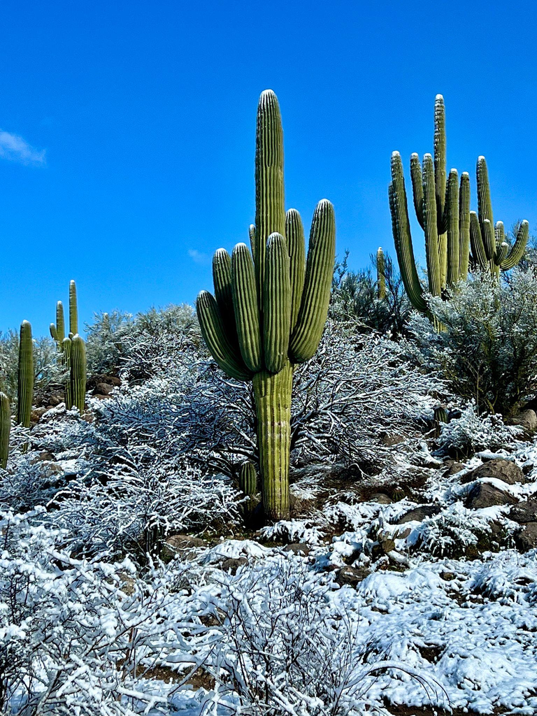 Best Winter Destinations in Arizona