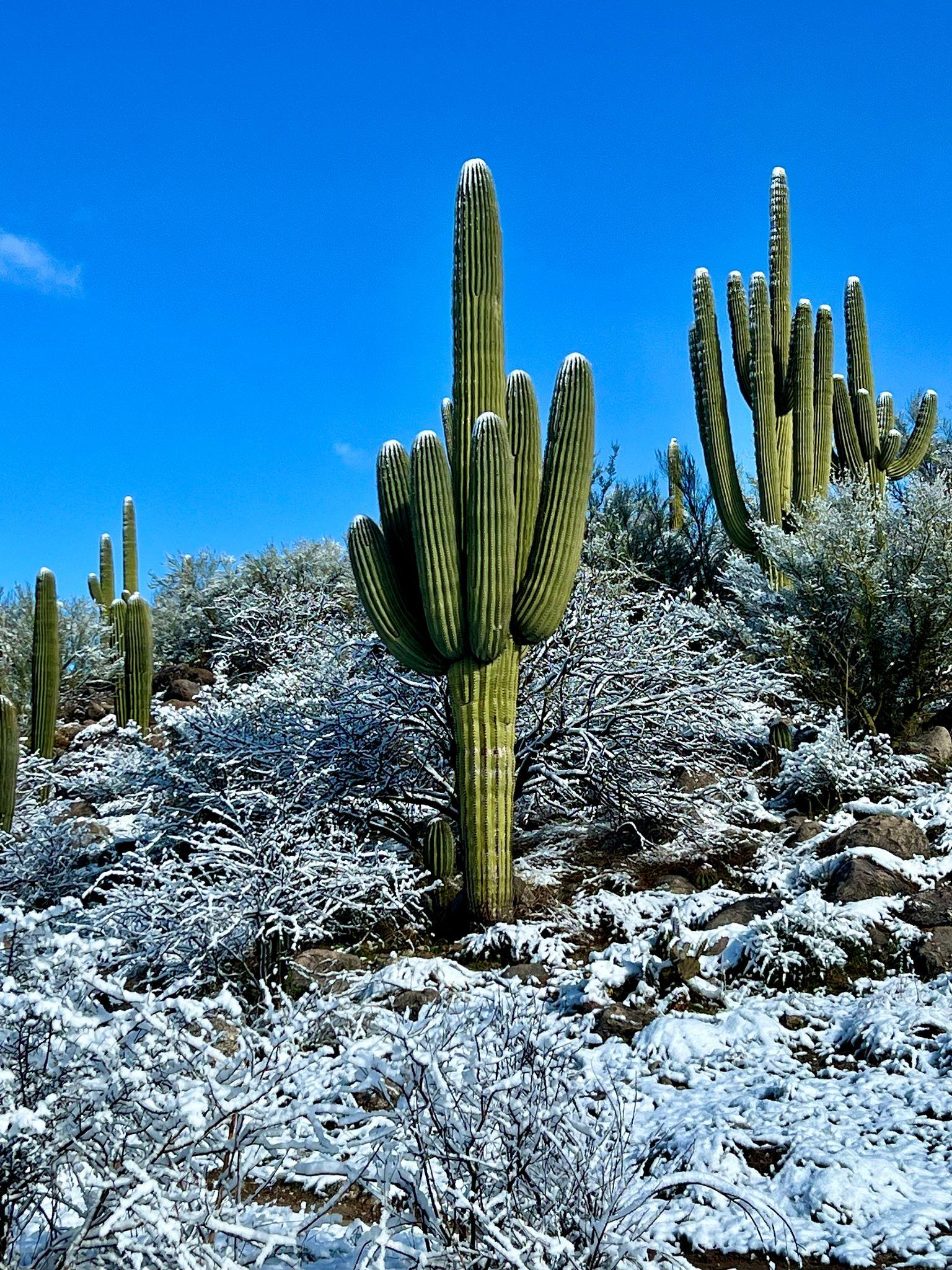 Best Winter Getaways in Arizona: 5 Destinations for Your 2026–2027 Escape